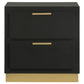 Caraway 2-drawer Nightstand Black