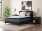 Destin Cove PT Queen Mattress